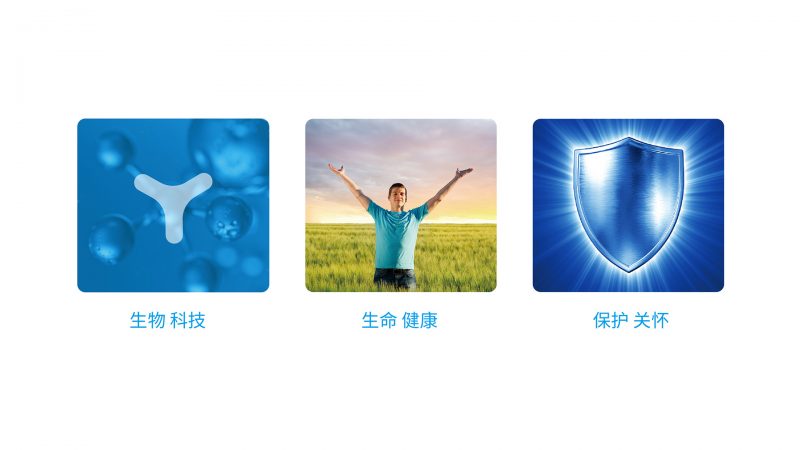 康润生物医药公司品牌形象VI设计