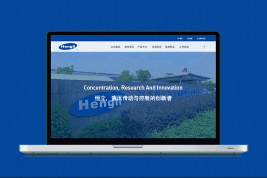 江苏常州恒立液压集团品牌官网策划设计